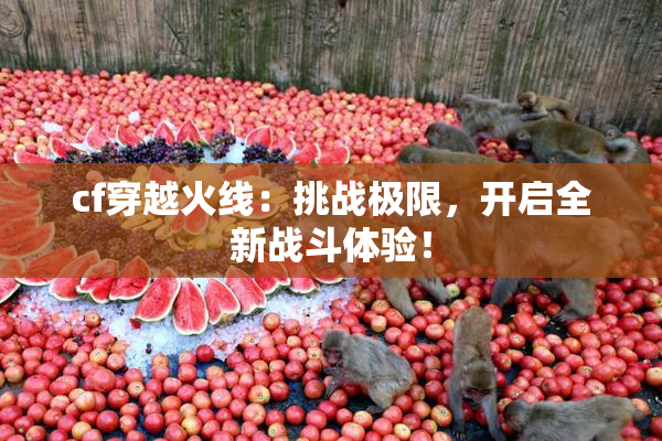 cf穿越火线：挑战极限，开启全新战斗体验！