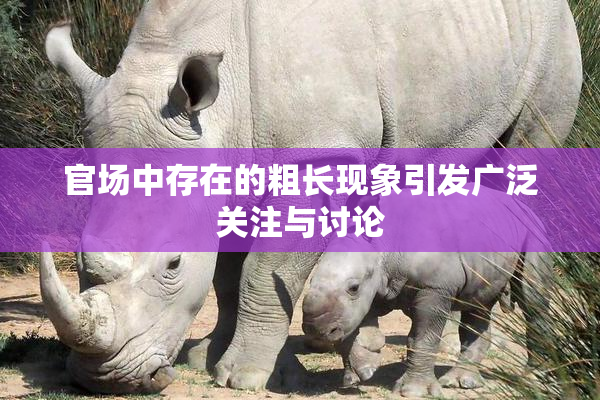 官场中存在的粗长现象引发广泛关注与讨论