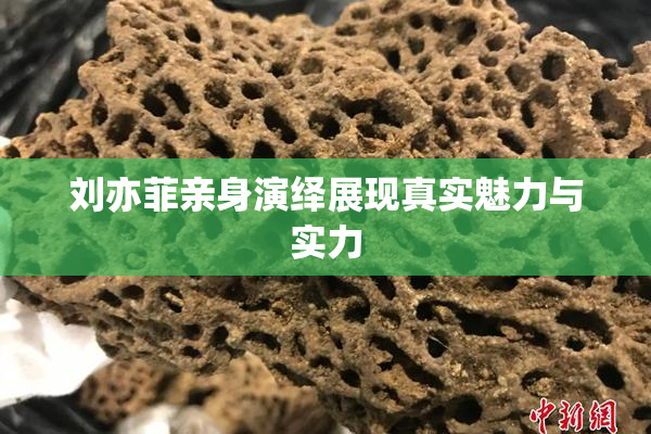 刘亦菲亲身演绎展现真实魅力与实力