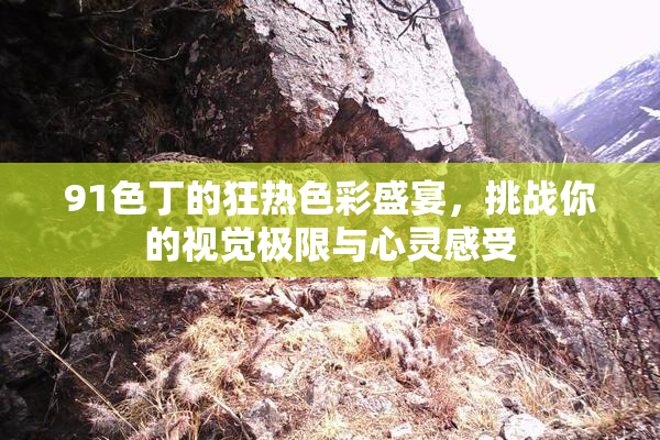 91色丁的狂热色彩盛宴，挑战你的视觉极限与心灵感受