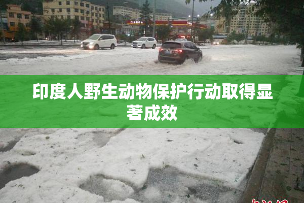 印度人野生动物保护行动取得显著成效