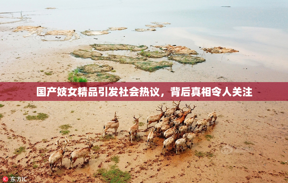 国产妓女精品引发社会热议，背后真相令人关注