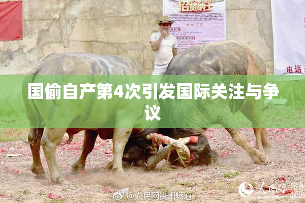 国偷自产第4次引发国际关注与争议