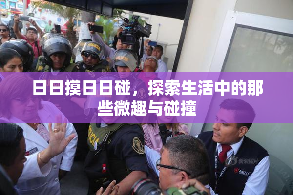 日日摸日日碰，探索生活中的那些微趣与碰撞