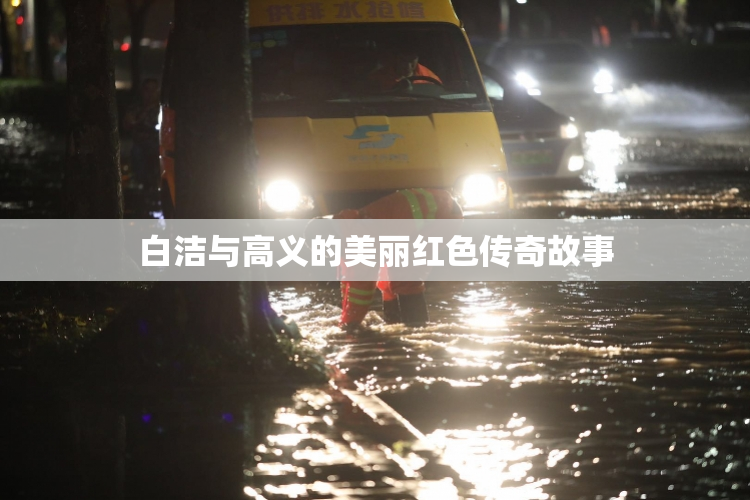 白洁与高义的美丽红色传奇故事