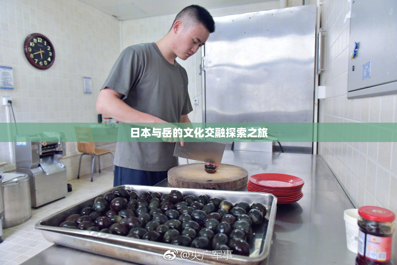 日本与岳的文化交融探索之旅