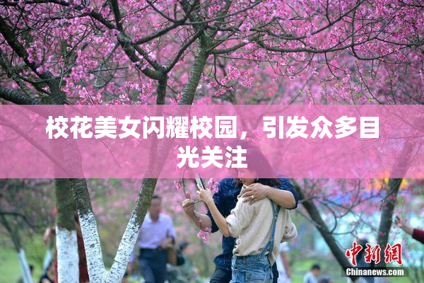 校花美女闪耀校园，引发众多目光关注