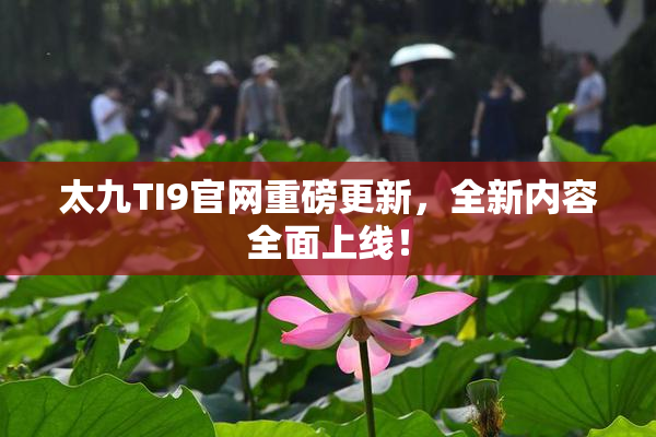 太九TI9官网重磅更新，全新内容全面上线！