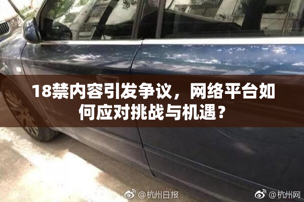18禁内容引发争议，网络平台如何应对挑战与机遇？