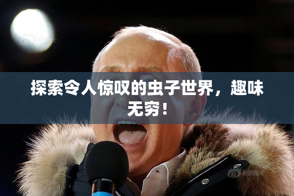 探索令人惊叹的虫子世界，趣味无穷！