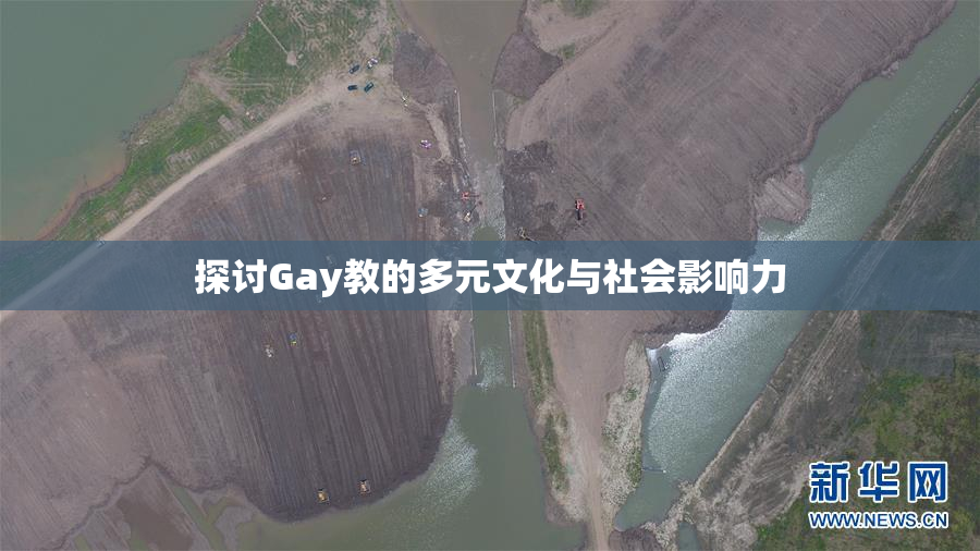探讨Gay教的多元文化与社会影响力
