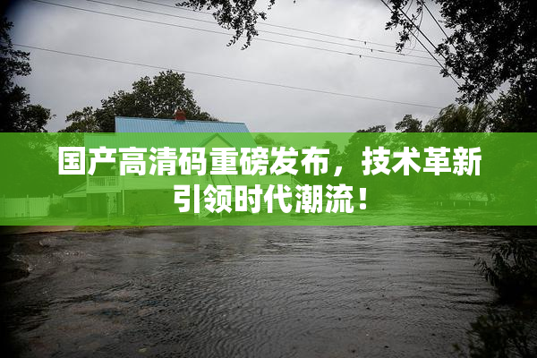 国产高清码重磅发布，技术革新引领时代潮流！