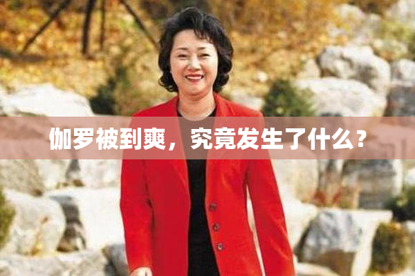 伽罗被到爽，究竟发生了什么？