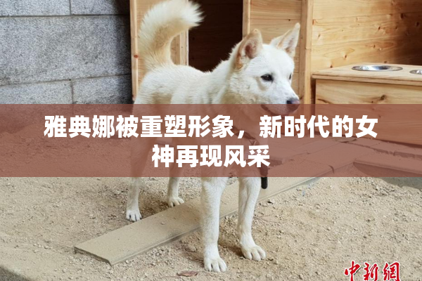 雅典娜被重塑形象，新时代的女神再现风采
