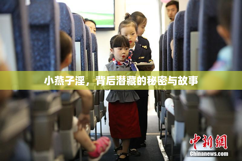 小燕子淫，背后潜藏的秘密与故事