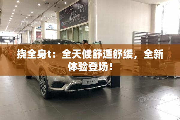 挠全身t：全天候舒适舒缓，全新体验登场！