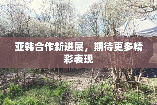 亚韩合作新进展，期待更多精彩表现
