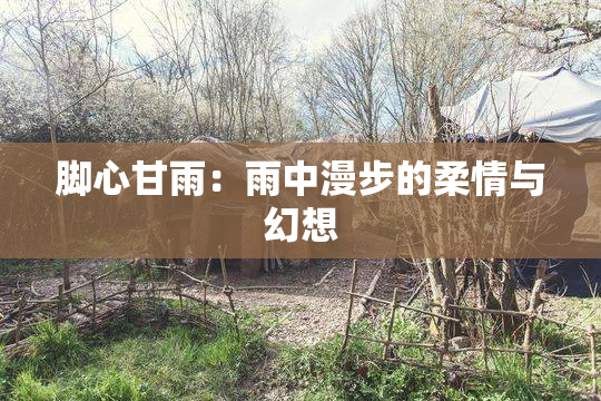 脚心甘雨：雨中漫步的柔情与幻想
