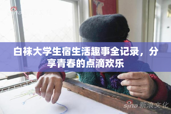 白袜大学生宿生活趣事全记录，分享青春的点滴欢乐