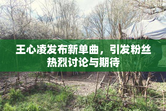 王心凌发布新单曲，引发粉丝热烈讨论与期待