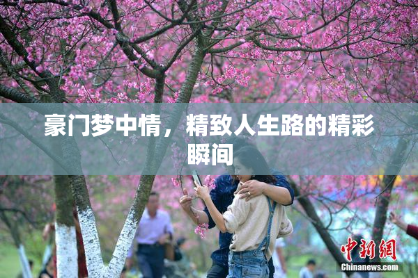 豪门梦中情，精致人生路的精彩瞬间