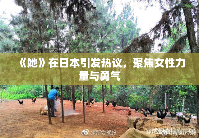 《她》在日本引发热议，聚焦女性力量与勇气