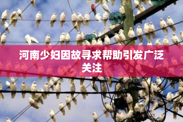 河南少妇因故寻求帮助引发广泛关注