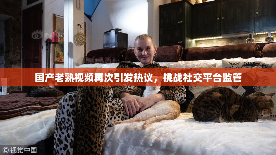 国产老熟视频再次引发热议，挑战社交平台监管