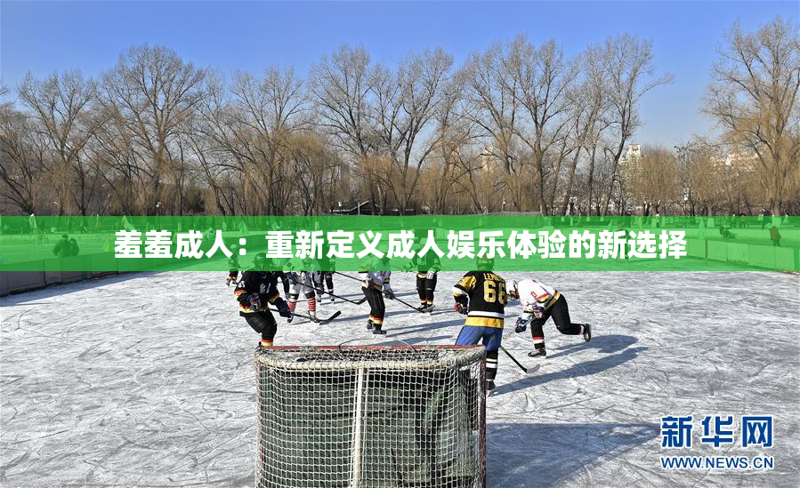 羞羞成人：重新定义成人娱乐体验的新选择