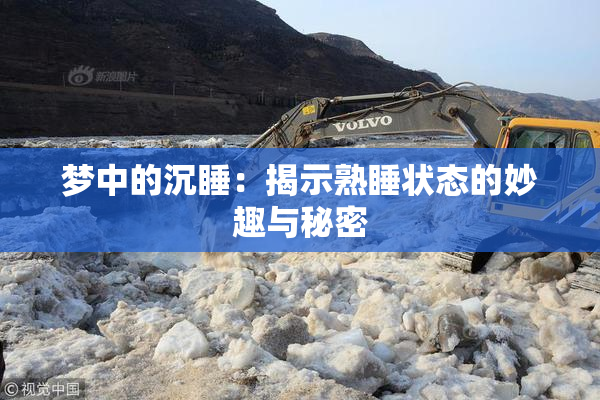 梦中的沉睡：揭示熟睡状态的妙趣与秘密
