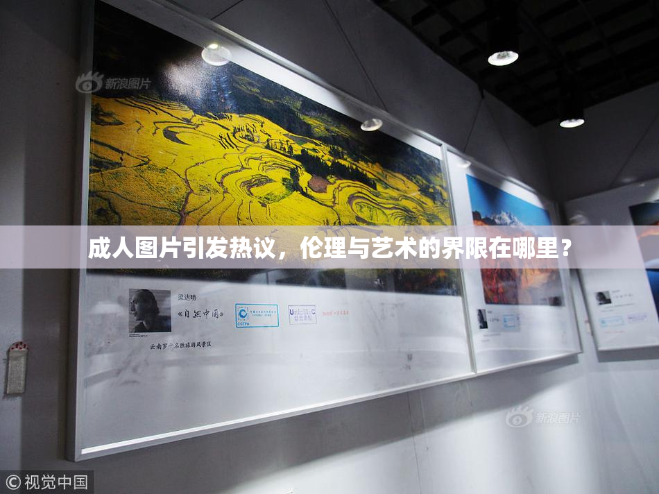 成人图片引发热议，伦理与艺术的界限在哪里？