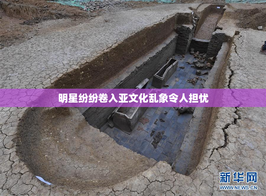 明星纷纷卷入亚文化乱象令人担忧