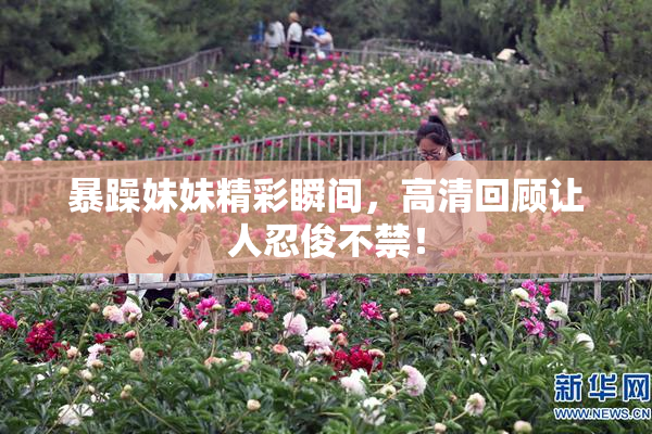 暴躁妹妹精彩瞬间，高清回顾让人忍俊不禁！