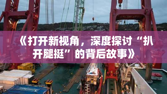 《打开新视角，深度探讨“扒开腿挺”的背后故事》