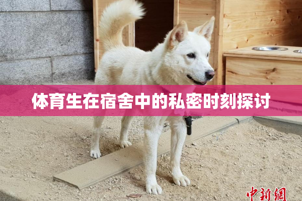 体育生在宿舍中的私密时刻探讨