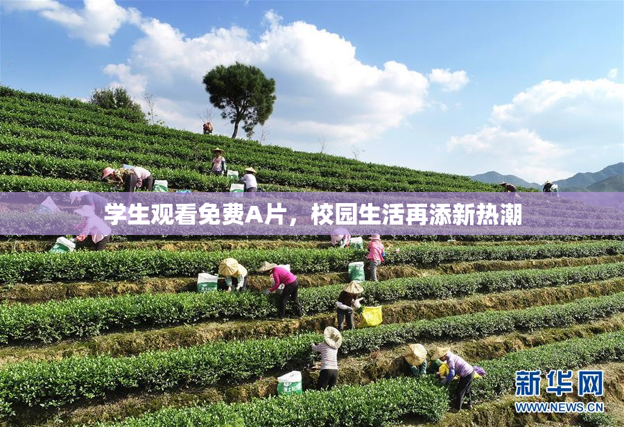 学生观看免费A片，校园生活再添新热潮