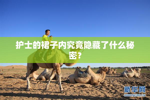 护士的裙子内究竟隐藏了什么秘密？