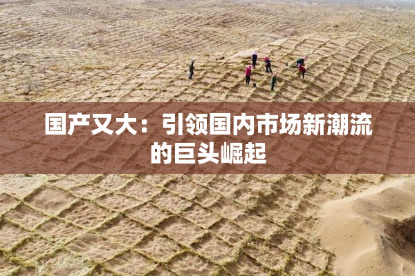 国产又大：引领国内市场新潮流的巨头崛起