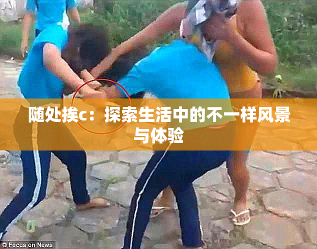 随处挨c：探索生活中的不一样风景与体验
