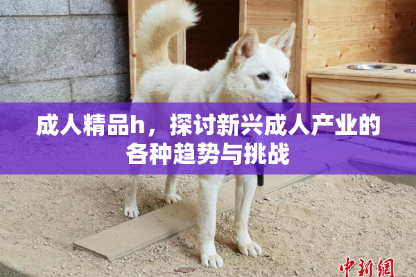 成人精品h，探讨新兴成人产业的各种趋势与挑战