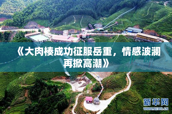 《大肉楱成功征服岳重，情感波澜再掀高潮》