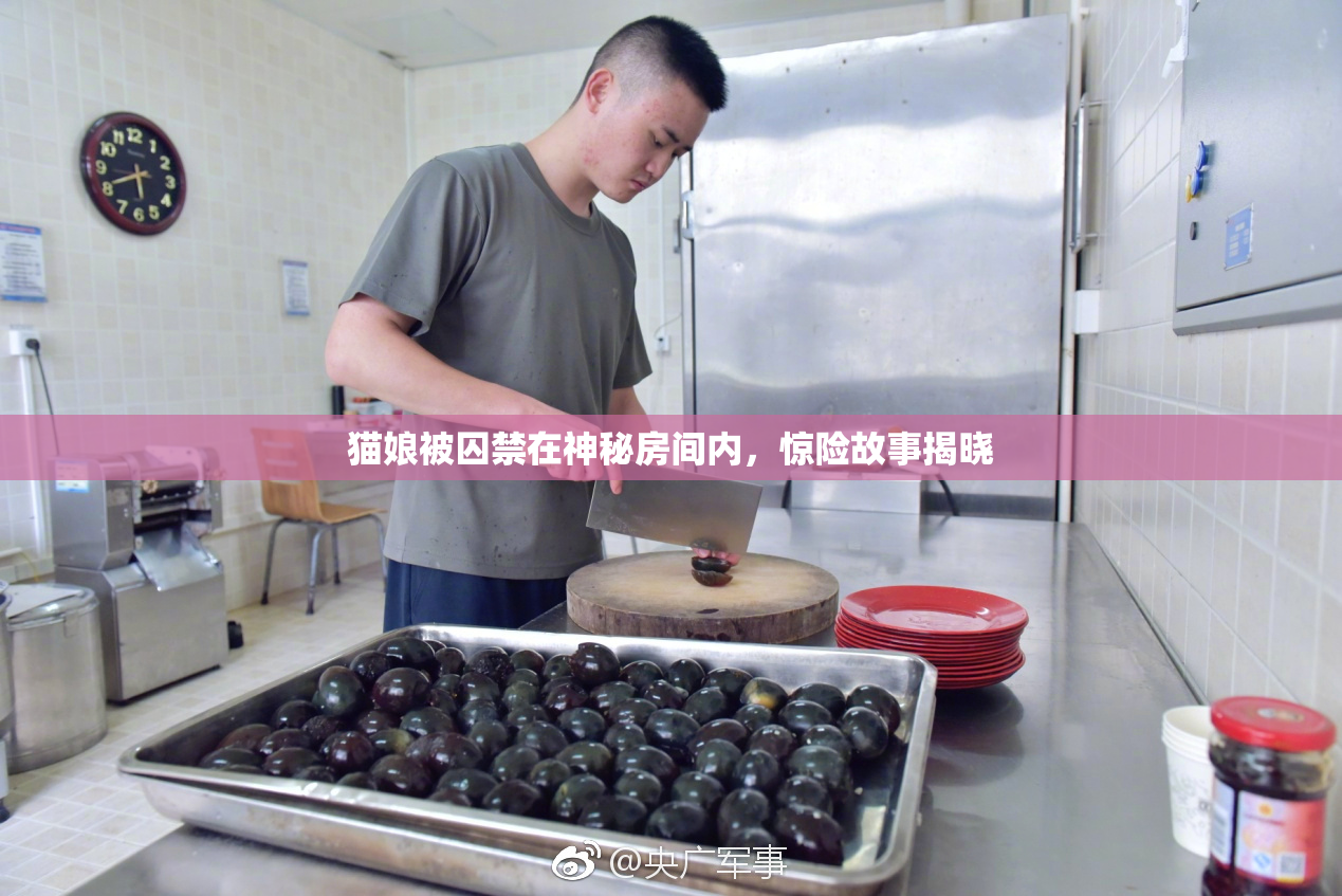 猫娘被囚禁在神秘房间内，惊险故事揭晓