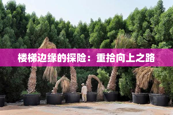 楼梯边缘的探险：重拾向上之路
