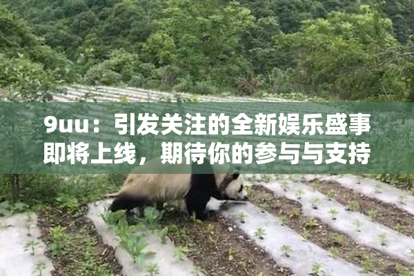 9uu：引发关注的全新娱乐盛事即将上线，期待你的参与与支持！