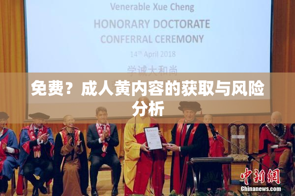 免费？成人黄内容的获取与风险分析