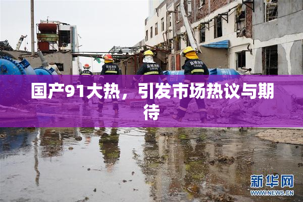 国产91大热，引发市场热议与期待