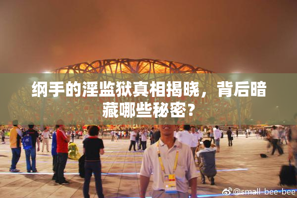 纲手的淫监狱真相揭晓，背后暗藏哪些秘密？