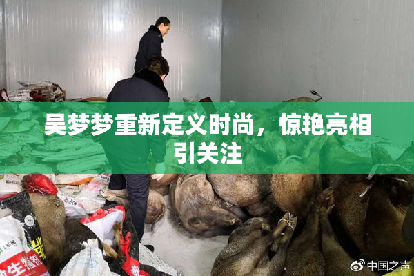 吴梦梦重新定义时尚，惊艳亮相引关注