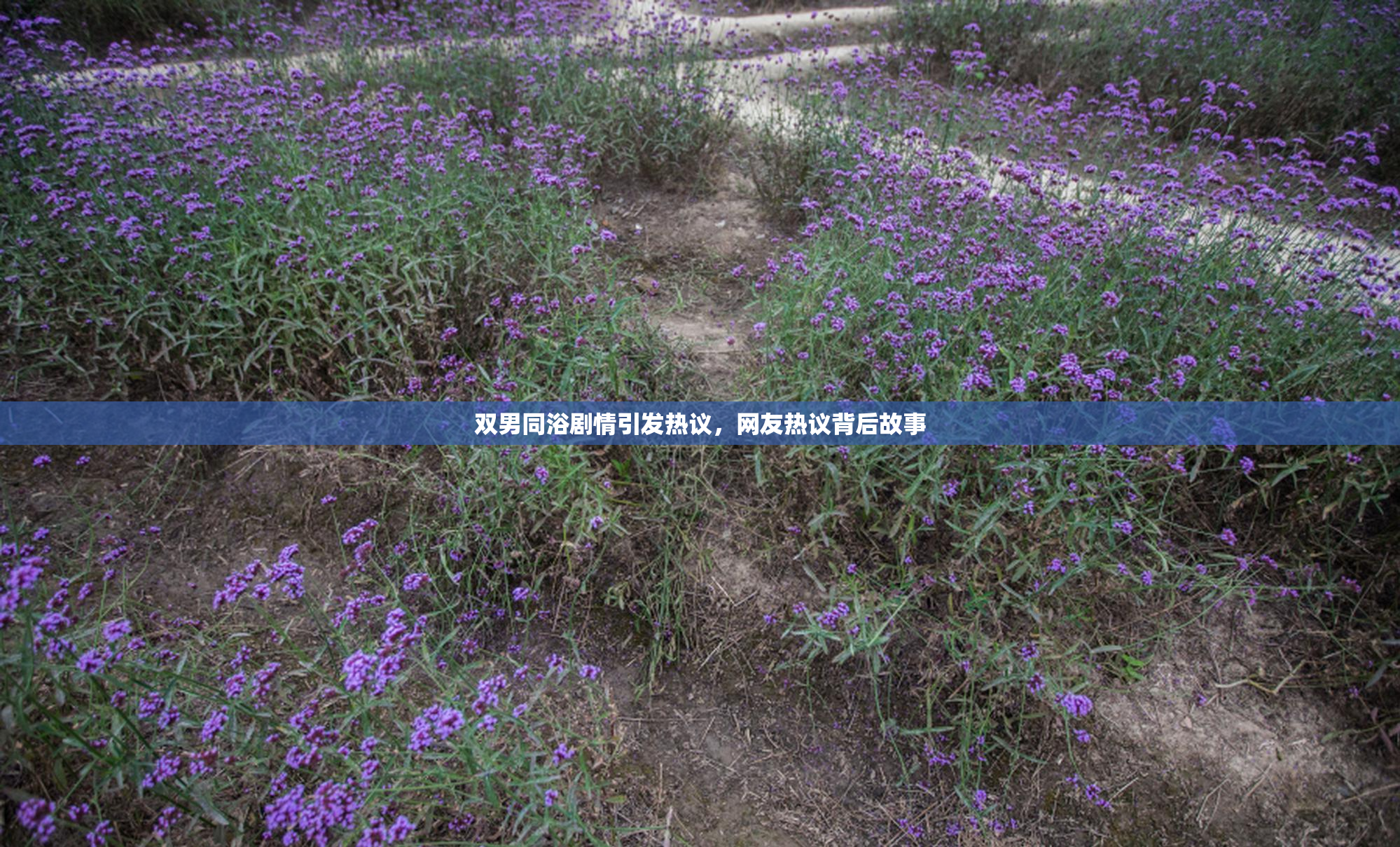双男同浴剧情引发热议，网友热议背后故事