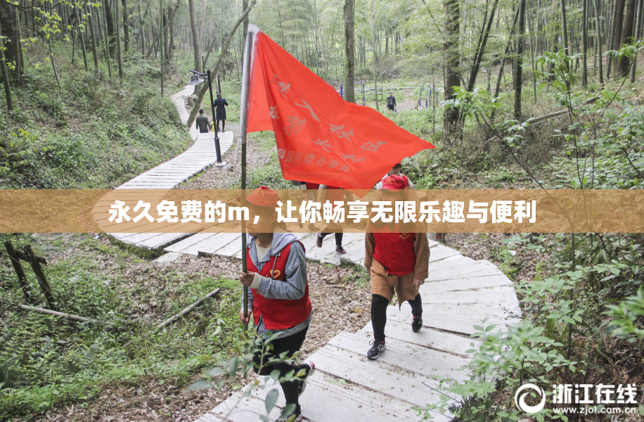 永久免费的m，让你畅享无限乐趣与便利